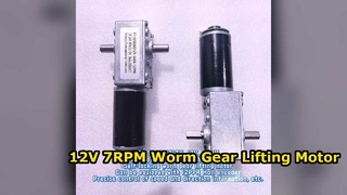 FT-58SGM31ZY, 12V, 7RPM Dual Output Shaft  Lifting Gear Motor
