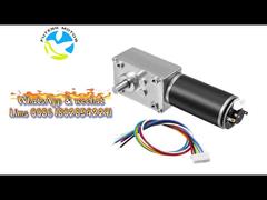 FT-58SGM31ZY  Slow Speed Big Torque Worm Gear Motor With Hall Encoder for Lawn Mower For You