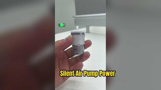310 Air Pump