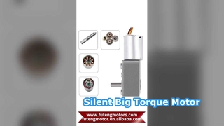 FT-46SGM370 Worm Gear Motors